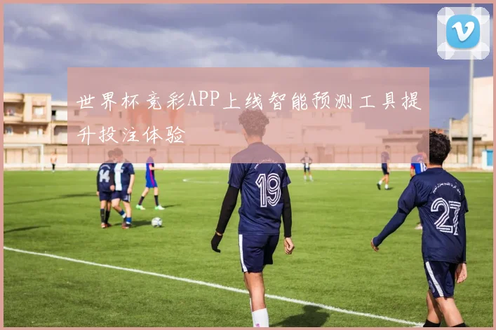 世界杯竞彩APP上线智能预测工具提升投注体验